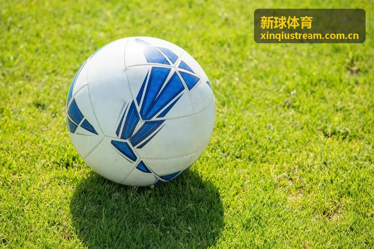 新球体育赛事直播频道